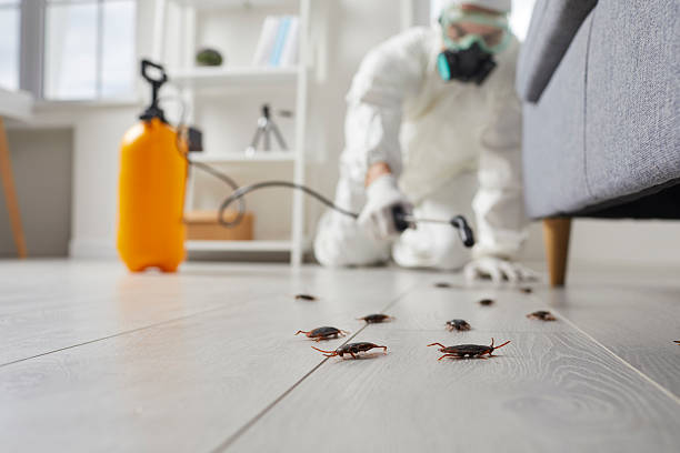 Post-Treatment Bed Bug Interceptor Monitoring in Virginia